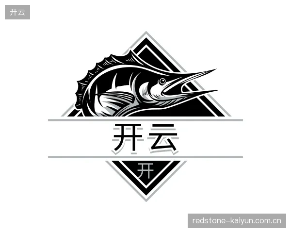 解读开云官方入口